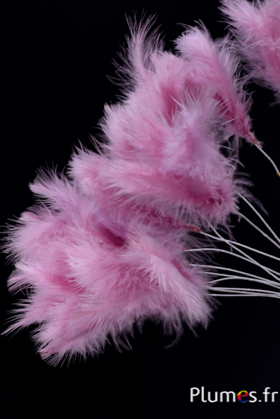 Panicule 3 plumes - hauteur 36 cm - rose ancien